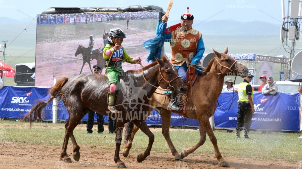 Хакухо зээрд