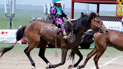 Эрлийз дээд