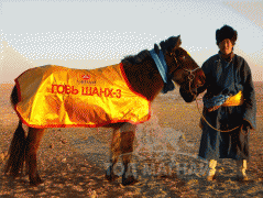 Д.Цогтбаяр: Манай аав аймагтаа адууныхаа цус сэлбэх ажлыг эхлүүлсэн хүн