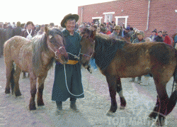 Д.Цогтбаяр: Манай аав аймагтаа адууныхаа цус сэлбэх ажлыг эхлүүлсэн хүн