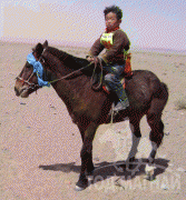 Д.Цогтбаяр: Манай аав аймагтаа адууныхаа цус сэлбэх ажлыг эхлүүлсэн хүн