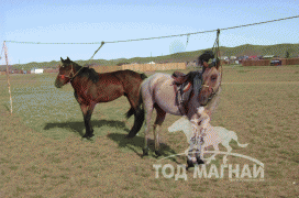 Д.Цогтбаяр: Манай аав аймагтаа адууныхаа цус сэлбэх ажлыг эхлүүлсэн хүн