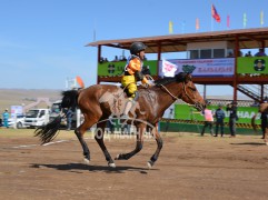 С.Дамбажавын хээр